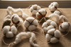 What is malmal? The muslin they called woven air